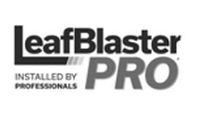 LeafBlaster Pro